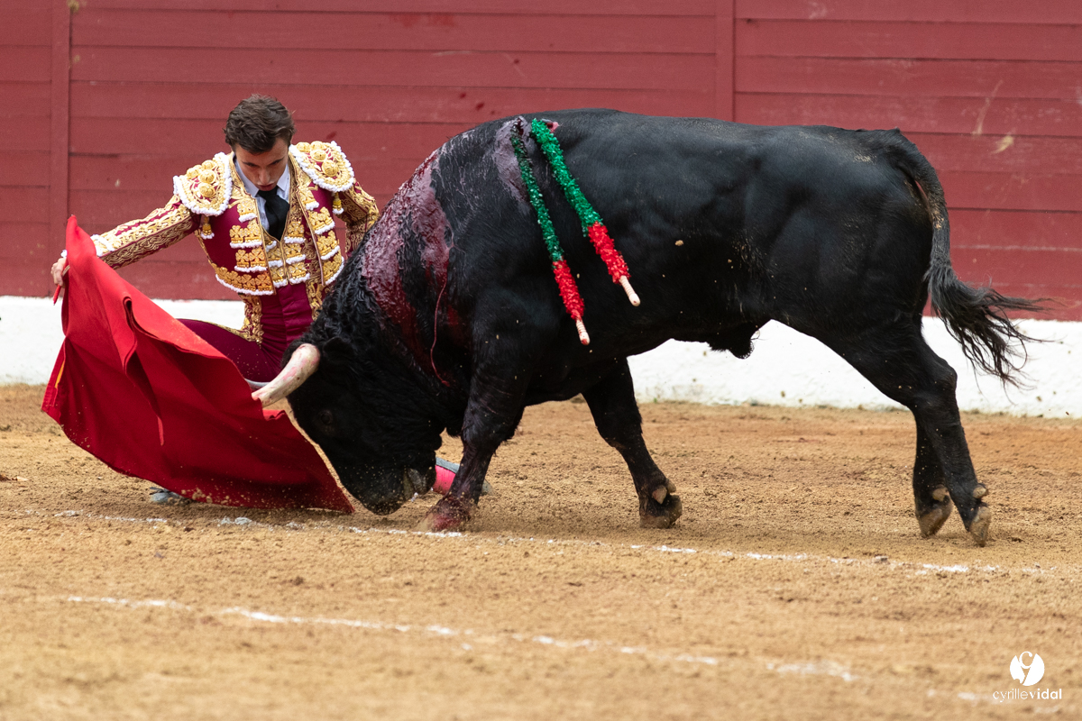 Corrida d'Aire sur l'Adour