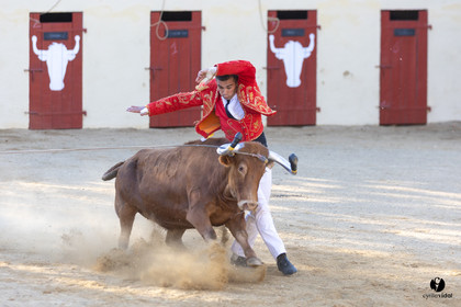 Course landaise