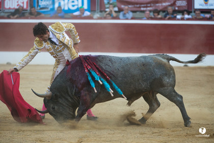 Mont-de-Marsan corrida d'Adolfo Martin