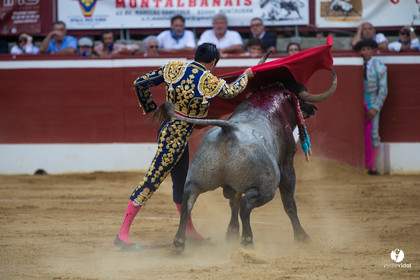Mont-de-Marsan corrida d'Adolfo Martin