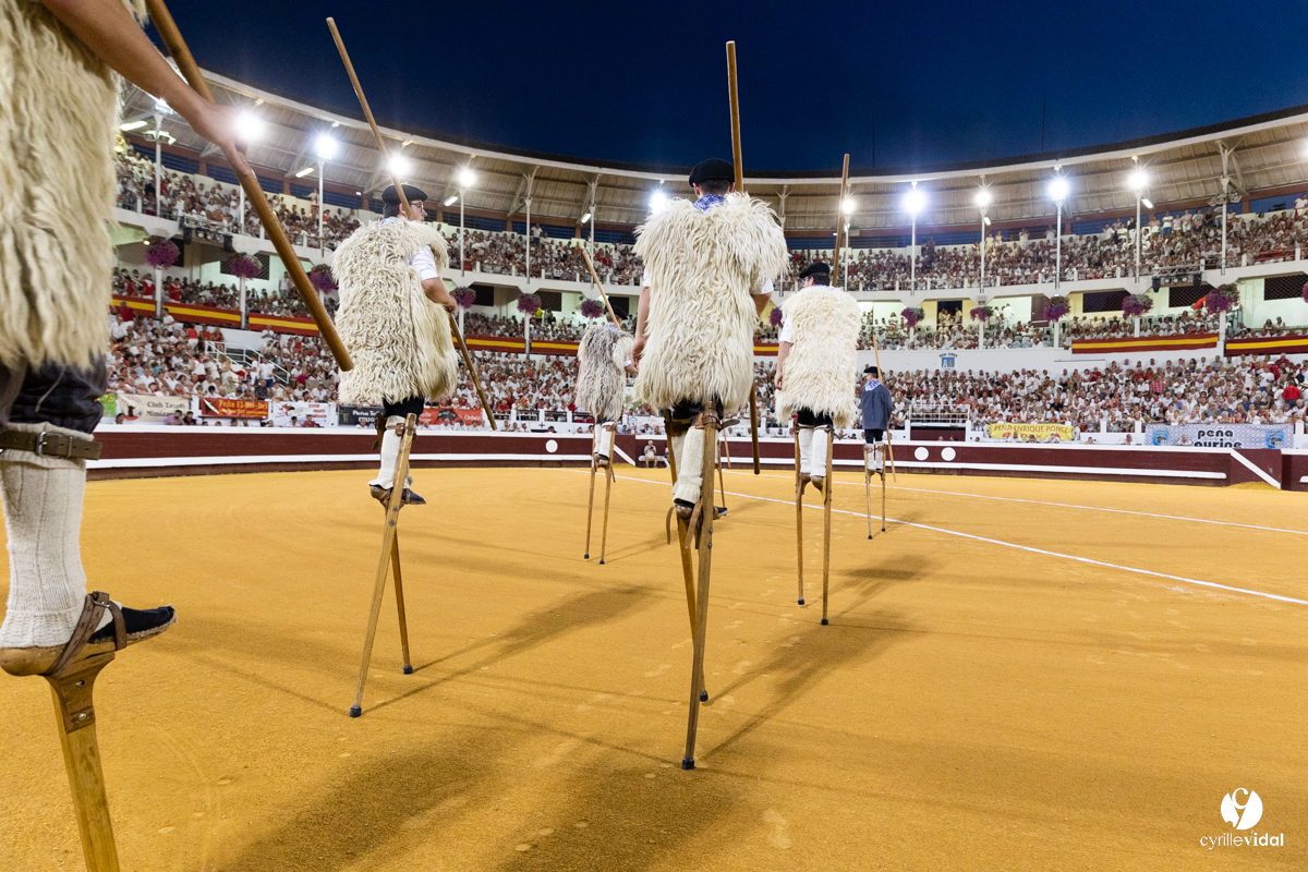 Dax concours landais 2022
