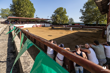 2022-08-28-1502.jpg