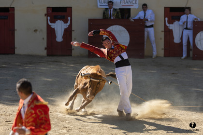 Course landaise
