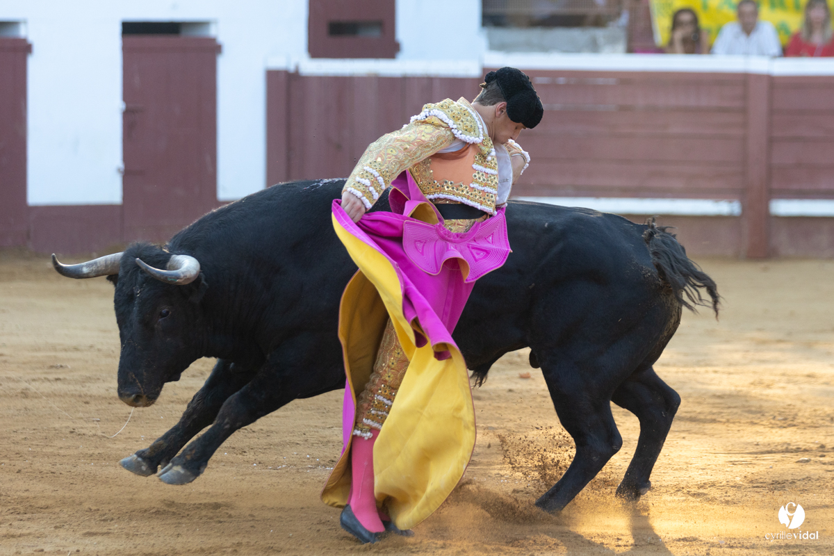 Corrida de Villeneuve-de-Marsan