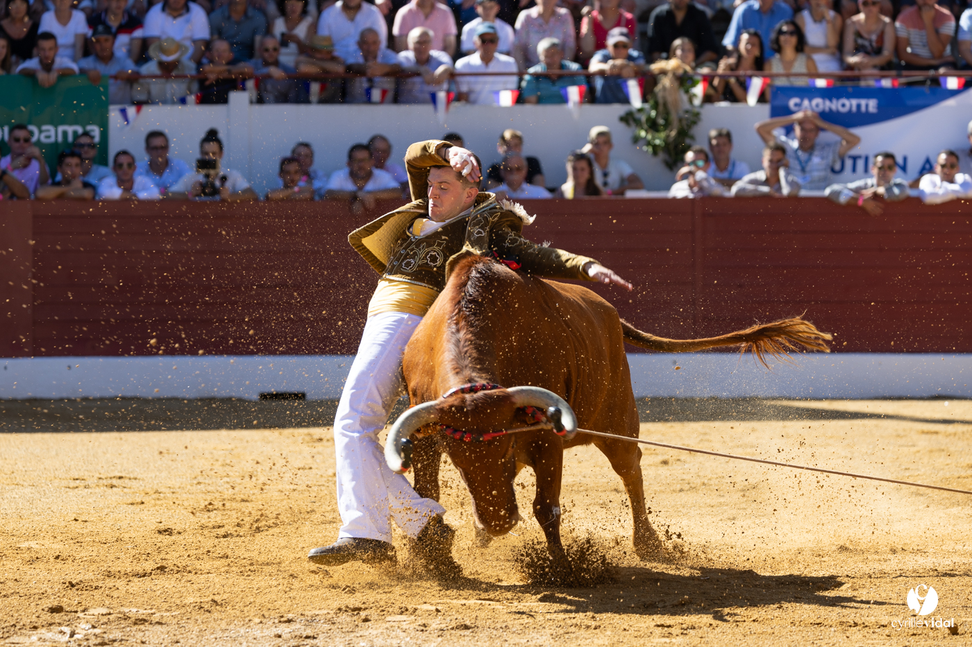 Aire-sur-l'Adour Championnat de France de course landaise 2023
