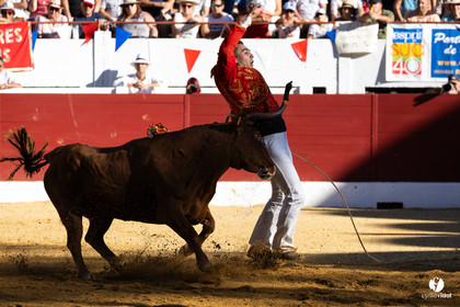 Aire-sur-l'Adour Championnat de France de course landaise 2023