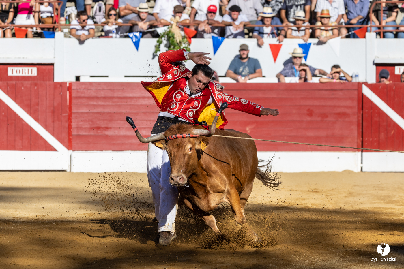 Aire-sur-l'Adour Championnat de France de course landaise 2023