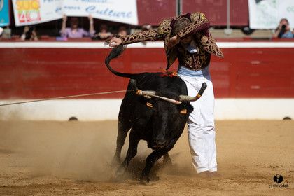 Mont-de-Marsan championnat de France de course landaise 2019
