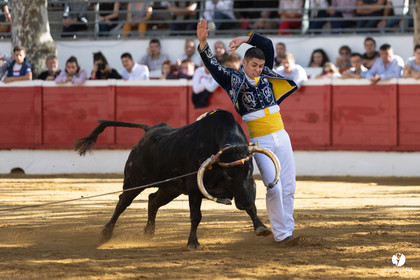 Nogaro Championnat de France de course landaise 2022