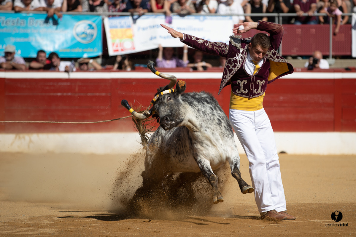 Mont-de-Marsan championnat de France de course landaise 2019