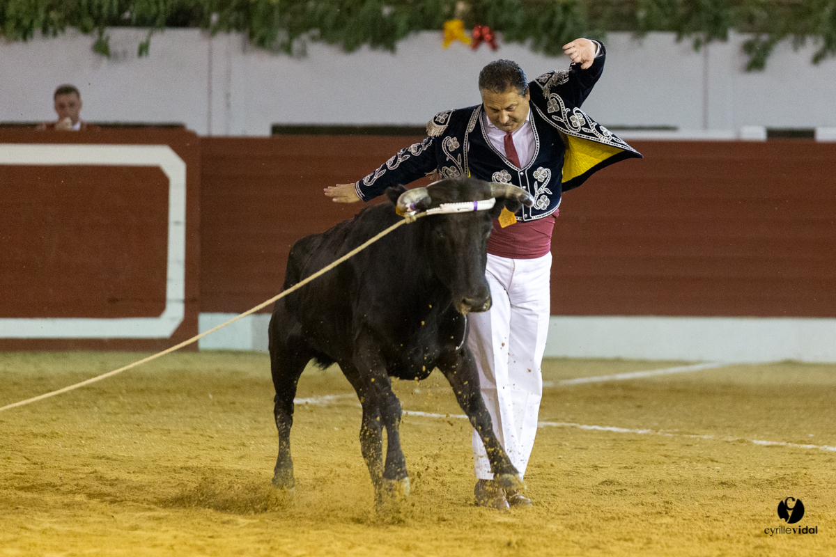 Aire sur l'Adour course landaise génération Aturine