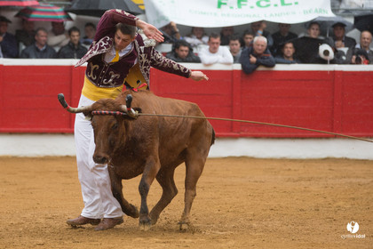 Nogaro Championnatde France de Course Landaise 2017