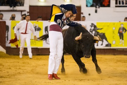 1246.jpg