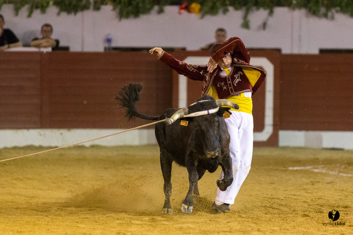 Aire sur l'Adour course landaise génération Aturine