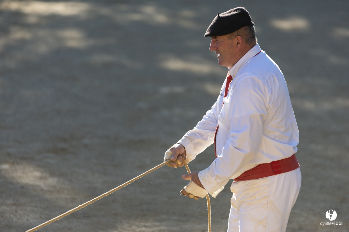 Course landaise