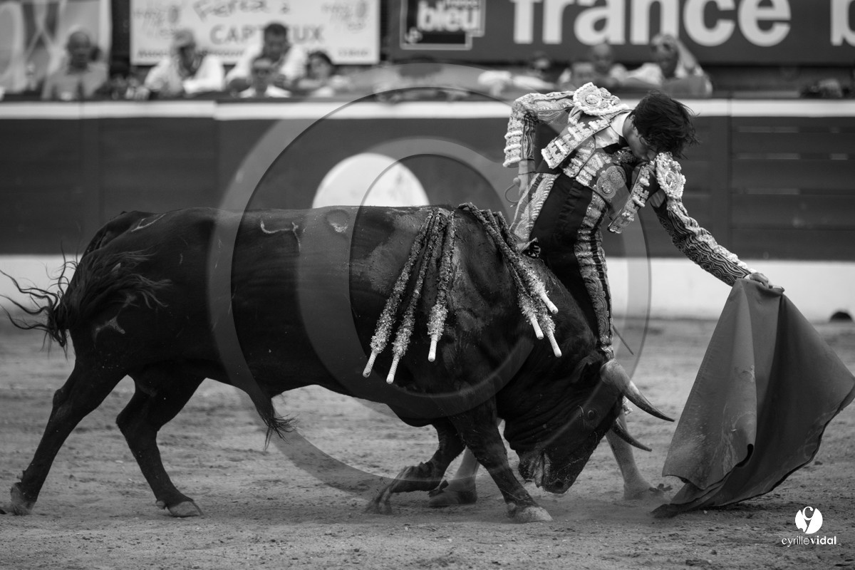 Mont-de-Marsan corrida de Jandilla pour Padilla - Talavante - Roca Rey