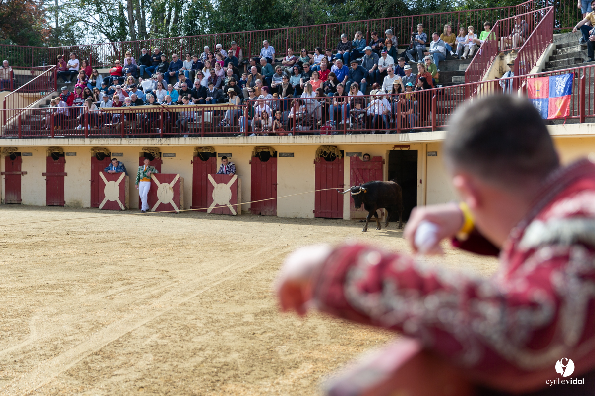 Course landaise Le Houga Ganadéria Dussau Cuadrilla Alexandre Brethes