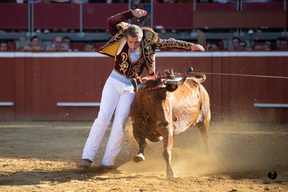Mont-de-Marsan championnat de France de course landaise 2019