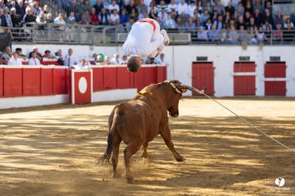 Nogaro Championnat de France de course landaise 2022