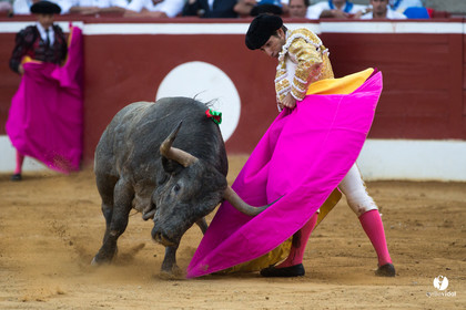 Mont-de-Marsan corrida d'Adolfo Martin