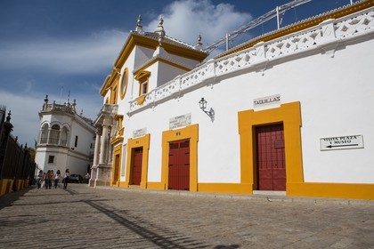 N01A7085.jpg