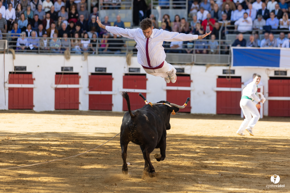 Nogaro Championnat de France de course landaise 2022