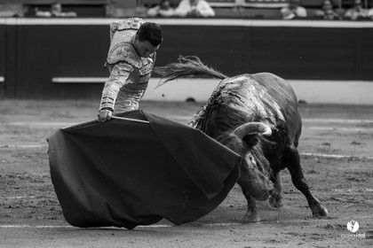 Mont-de-Marsan corrida de Dolores Aguirre pour Octavio Chacon - Pepe Moral - Juan Léal