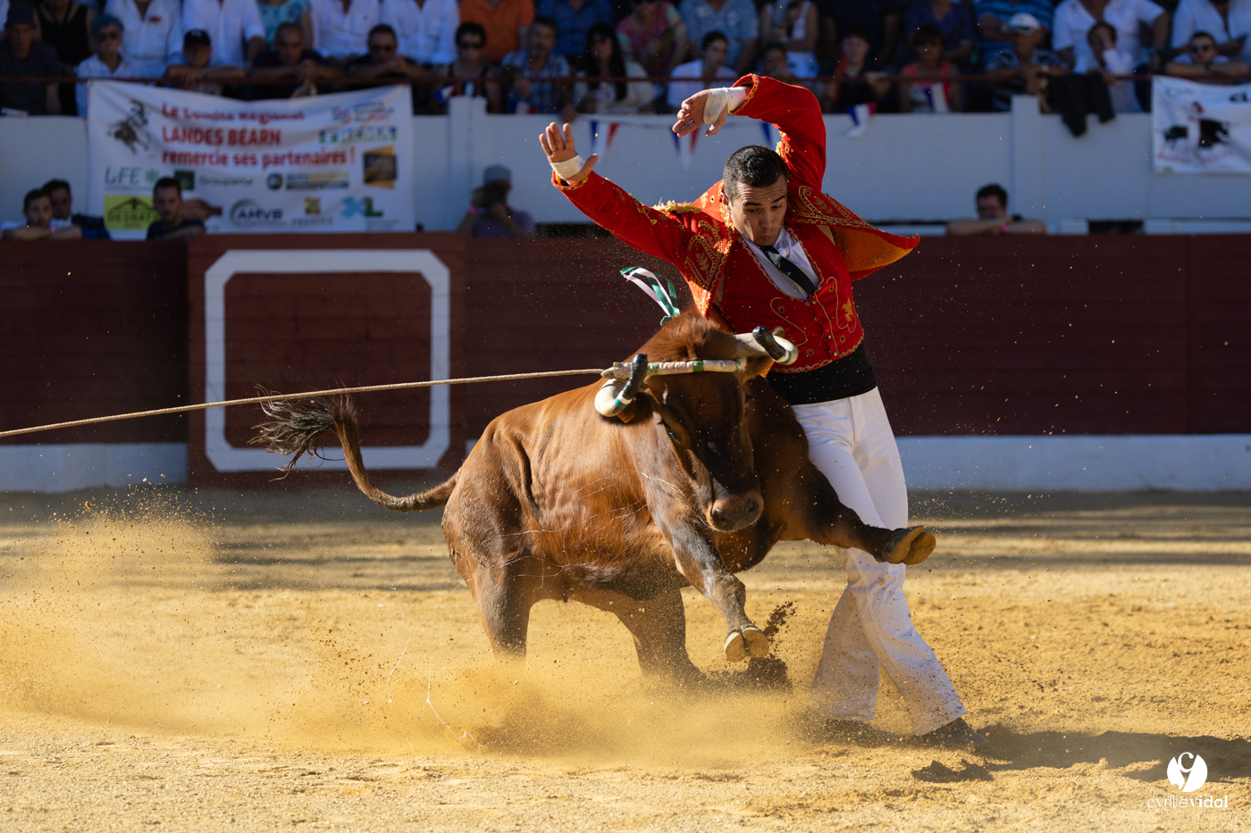 Aire-sur-l'Adour Championnat de France de course landaise 2023