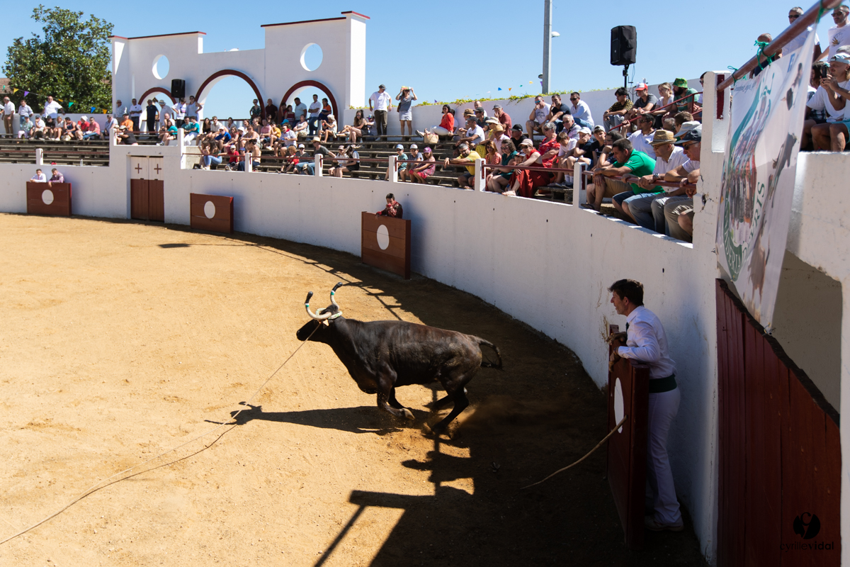 Saint-Cricq Chalosse course landaise de promotion Ganadéria Deyris Cuadrilla Jérémy Lafitte
