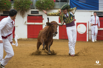 Nogaro Championnatde France de Course Landaise 2017