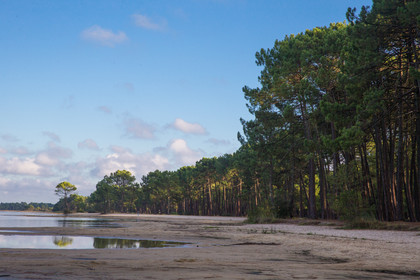 Paysages des Landes