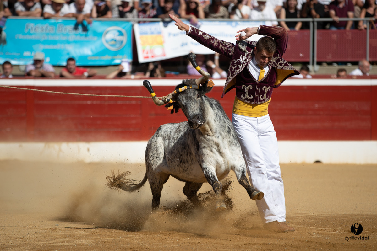 Mont-de-Marsan championnat de France de course landaise 2019