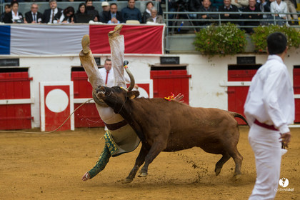 Nogaro Championnatde France de Course Landaise 2017