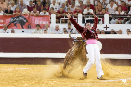 Dax concours landais 2022