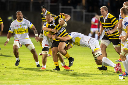 Stade Montois Rugby - Carcassonne