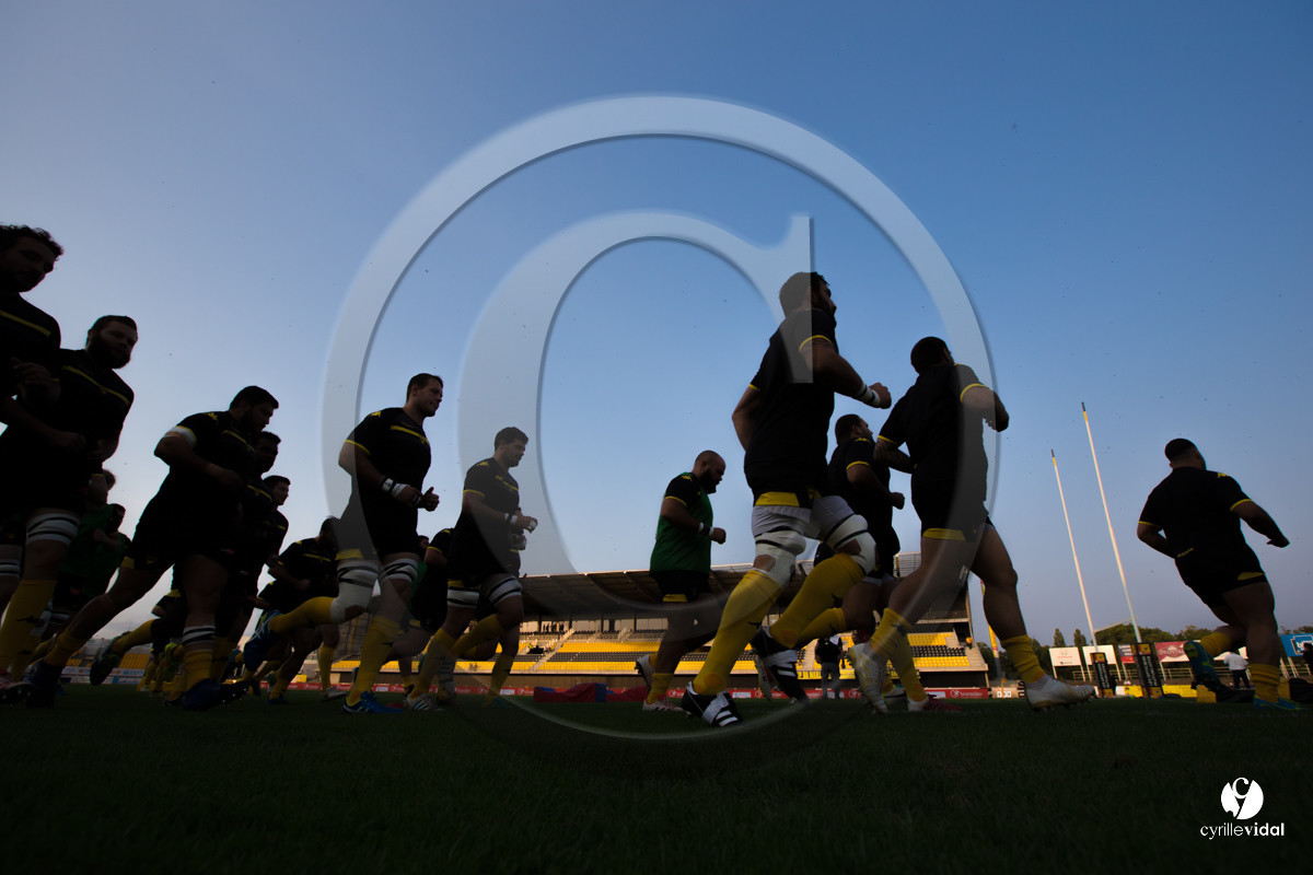 Rugby STADE MONTOIS - VANNES