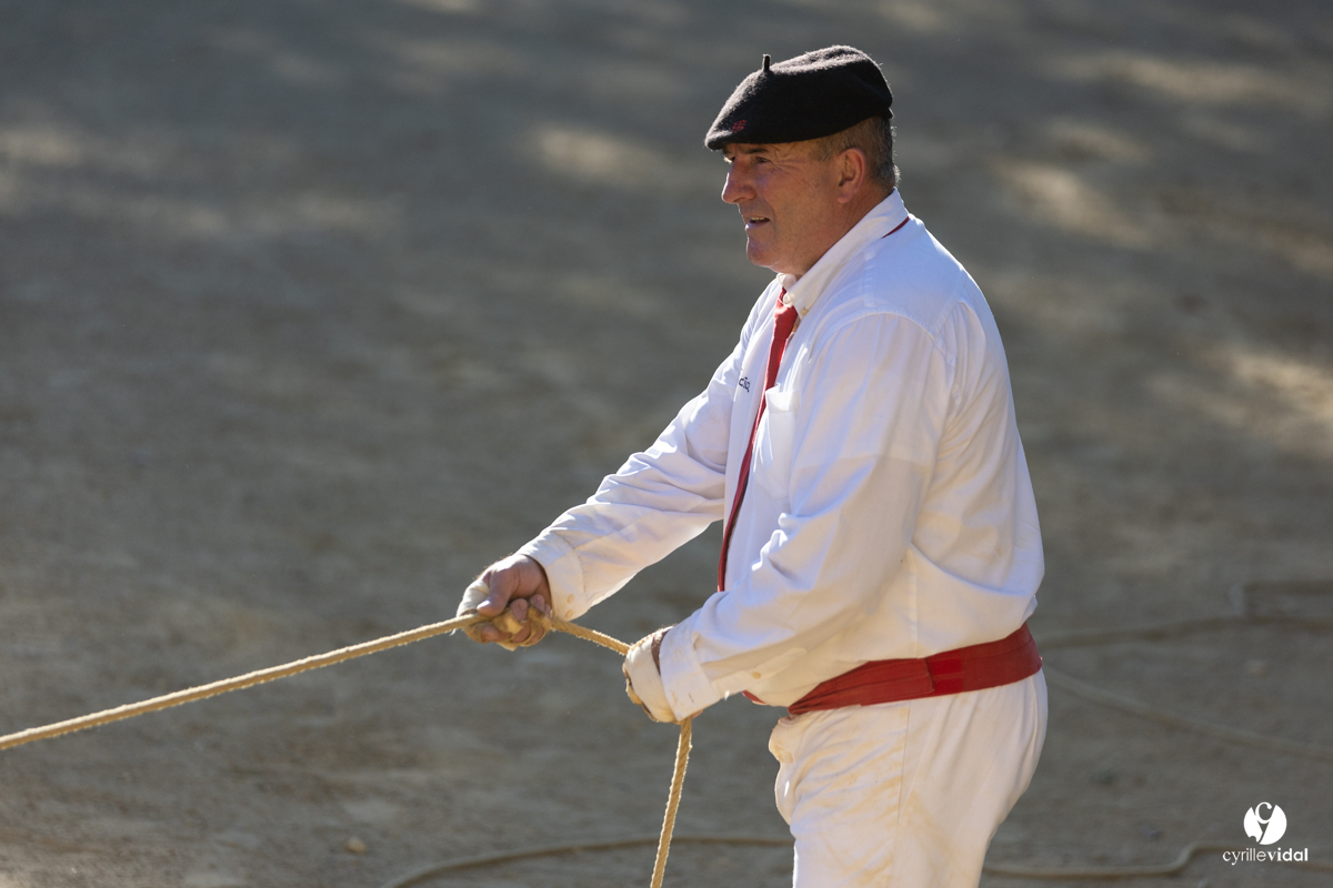 Course landaise