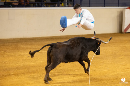 Horsarrieu course landaise du boléro d'Argent