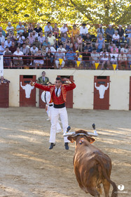 Course landaise
