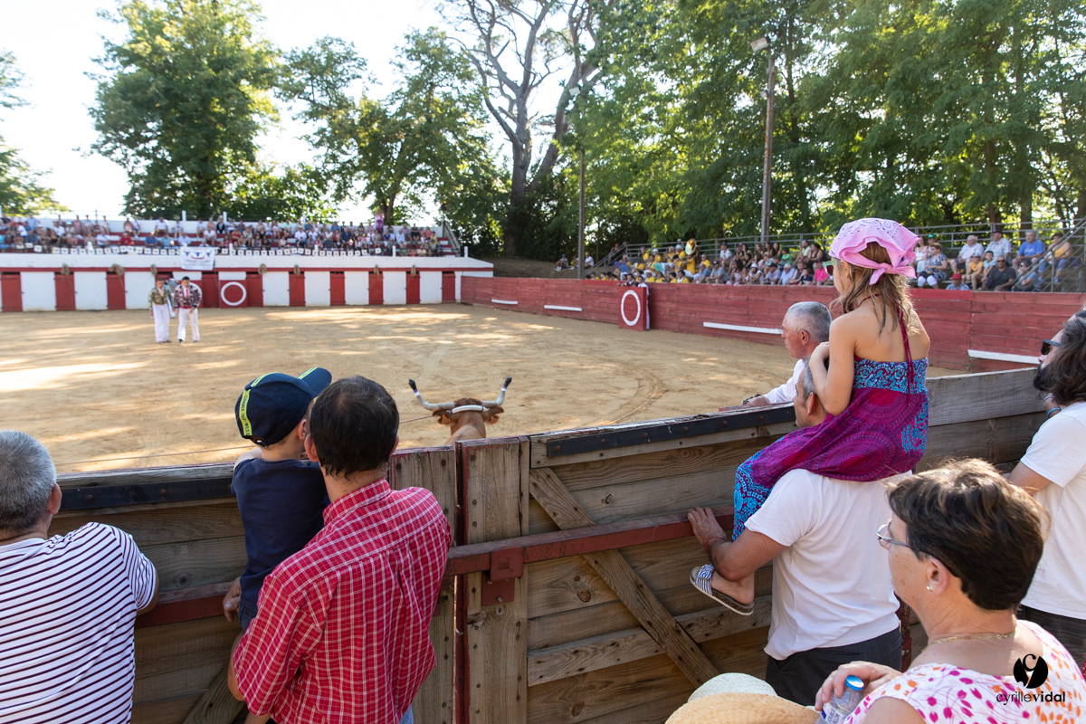 Course landaise à Panjas