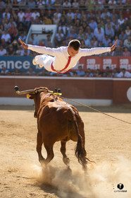Mont-de-Marsan championnat de France de course landaise 2019