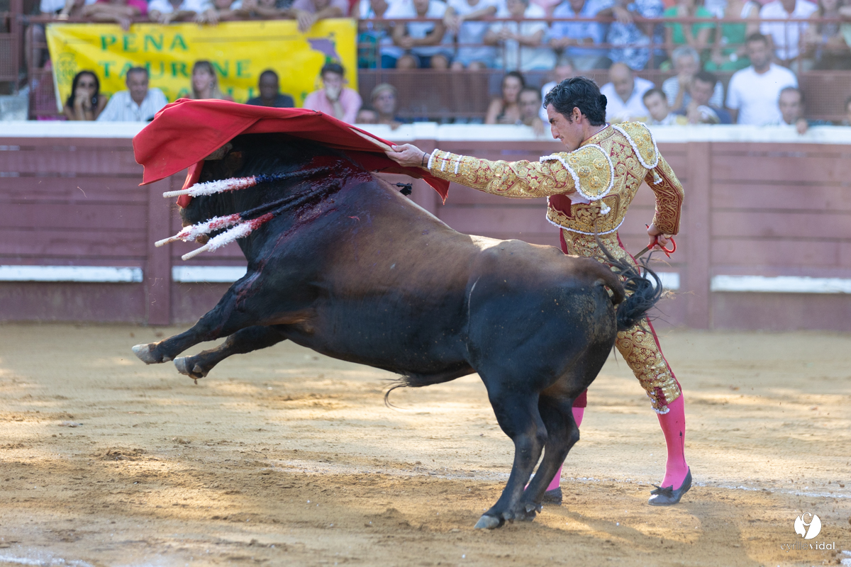 Corrida de Villeneuve-de-Marsan