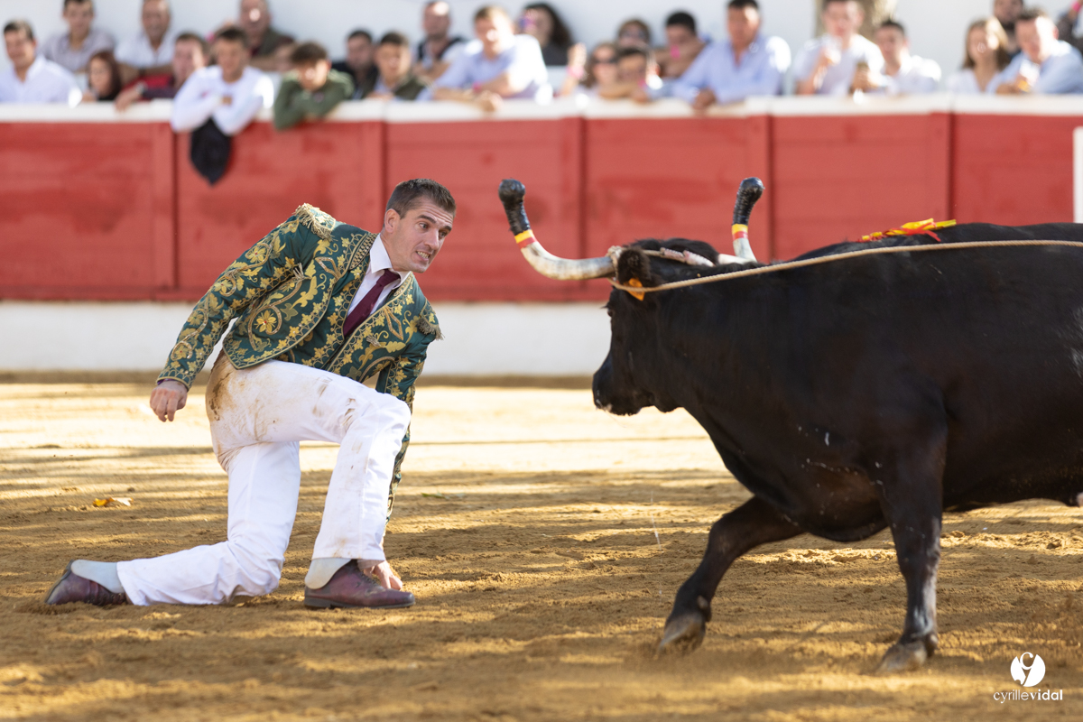 Nogaro Championnat de France de course landaise 2022
