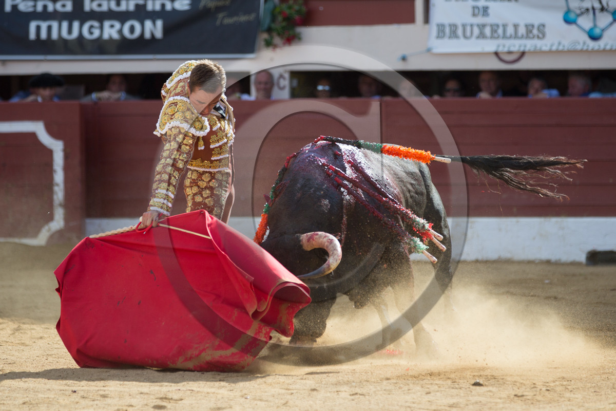 corrida, toro, vic fezensac, alcurrucen, michelito, morenito de aranda