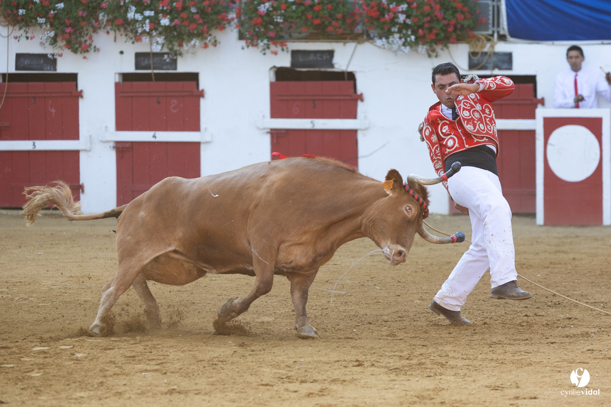 Nogaro Corne d'Or 2023