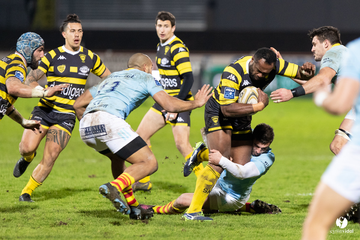 Stade Montois Rugby - Perpignan