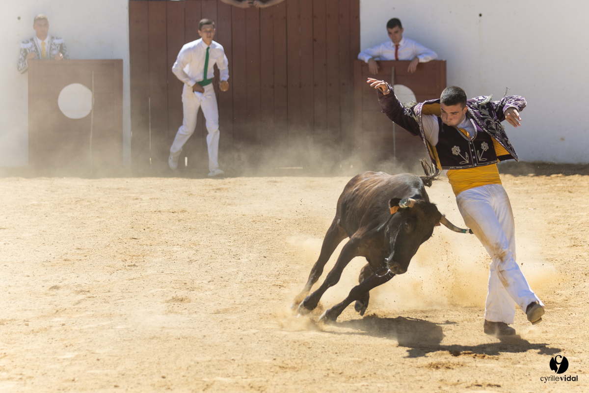 Saint-Cricq Chalosse course landaise de promotion Ganadéria Deyris Cuadrilla Jérémy Lafitte