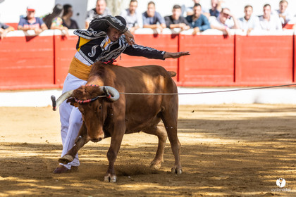 Nogaro Championnat de France de course landaise 2022