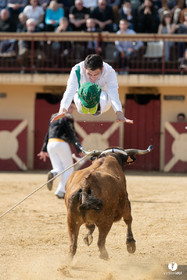 Course landaise Le Houga Ganadéria Dussau Cuadrilla Alexandre Brethes