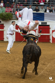 Nogaro Championnatde France de Course Landaise 2017